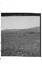 Rich Agricultural Valley; Looking South from Ruins