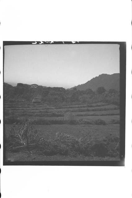 Upland valley of San Marcos and San Pedro Sacatepequez.  7500 to 8000 ft. from E