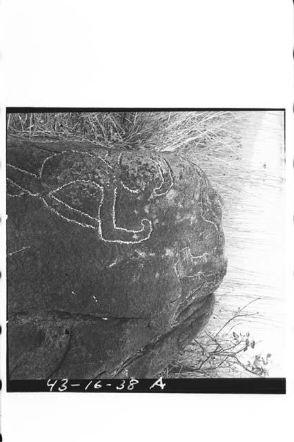 3 views of upper pictograph on large boulder.  Possibly so-called "leon de piedr