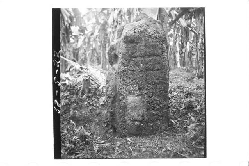 Stele "S" (Observers right side)