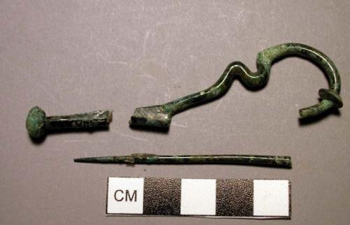 Fibula, serpentine