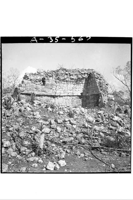 Half standing vault in S. limits of N. Group (6x6)