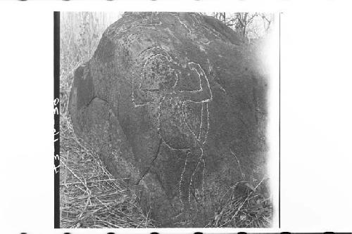 Monkey pictograph (lower carving of two) on large boulder.   On top of this rock