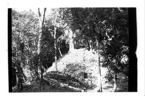 Tunnel into mound #16, back of Altar Q.