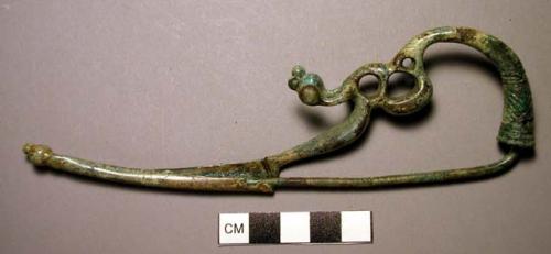 Fibula, dragon