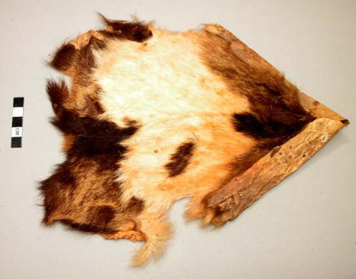 Witch doctor's goat skin