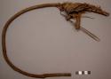 Rat trap - wooden stick and leaf