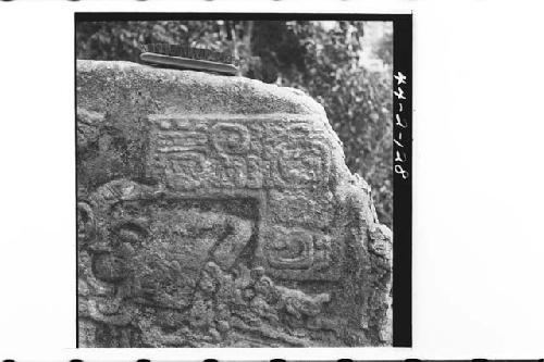 Front detail of glyph panel of Stela 7