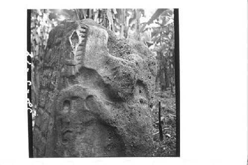 Stele "S" front, Detail of upper section (Observer's left)