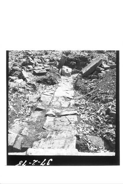 View of glyph panel on east bench slope, Ball Court III; Str 9 & 10