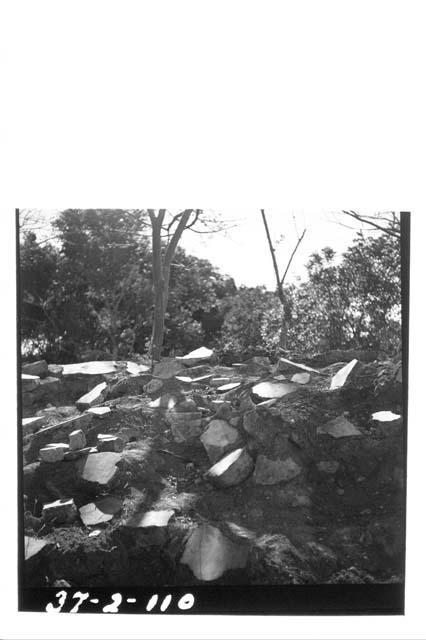 Excavation showing pieces of lime plaster flooring before repair