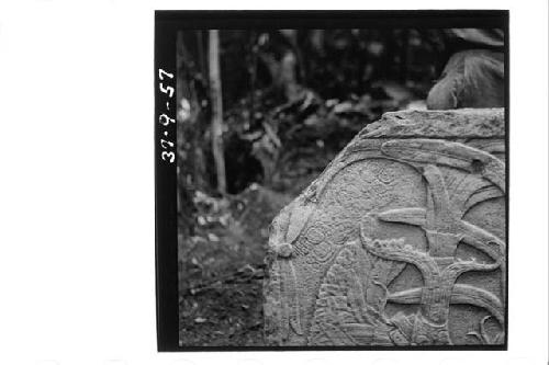 Stela 1, close up of incised glyphs on front upper rt. corner.