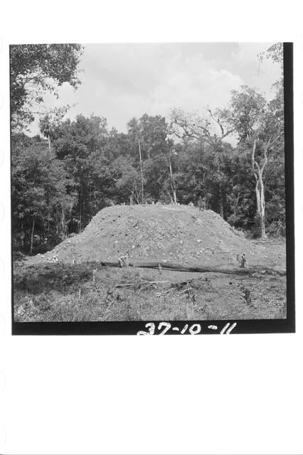 South east corner of Structure A-II after bushing and before excavation