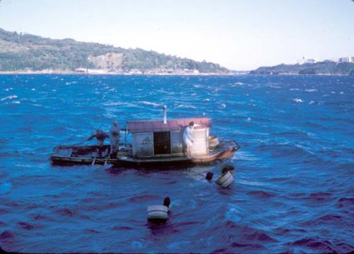 Toba -- Pearl Island divers