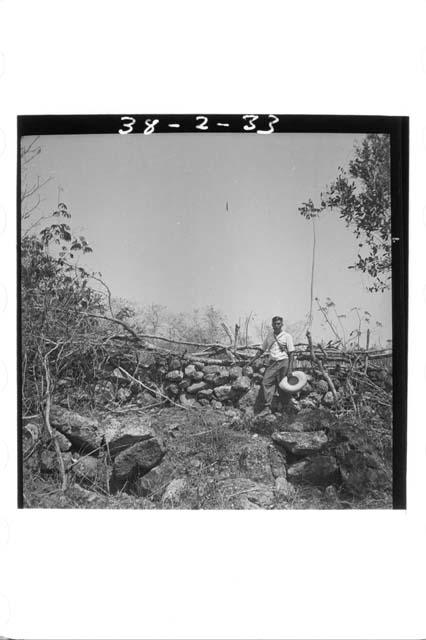 Milpa fence and wall from inside at northeast part of enclosure