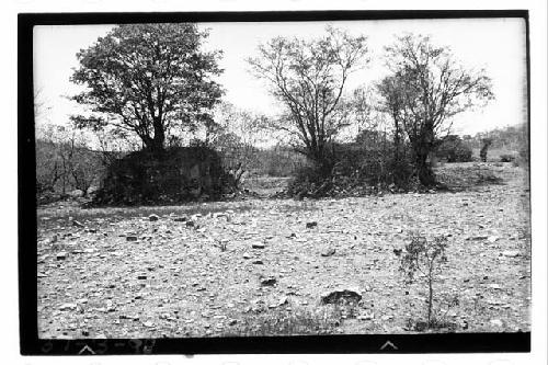 Two mounds north of Ball Court at Comitancillo