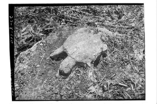 Turtle figure west of High Priest's grave