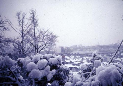 Tokyo, snow from an apartment