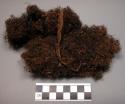 Floral fragment, wad of wirey vegetable fiber, brown and black, strip of bark