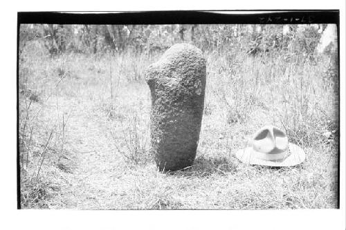 Metate, apparently unused