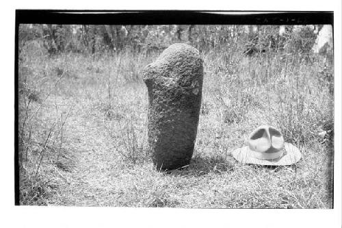 Metate, apparently unused