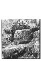 Shrine of the Toad, South side of Valley, S.SE. of the Main Structure