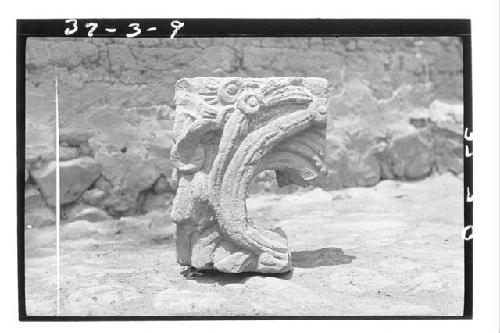 Sculptured stone in backyard Pension Rodriquez (reputedly from Copan)