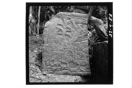 Stela 1, top half, front.