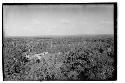 View to the east from the top of Structure A-XVIII