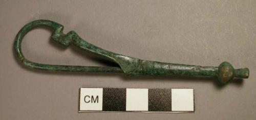 Fibula, serpentine