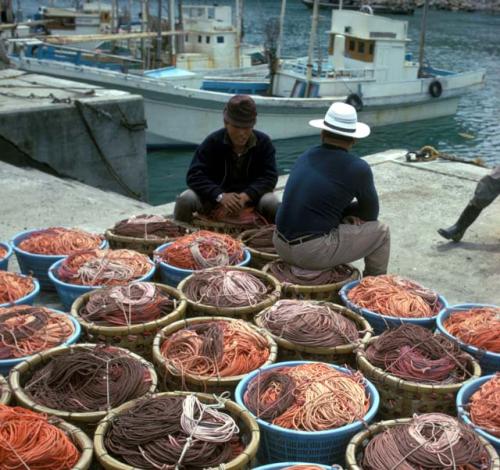 Fishing-line + boats