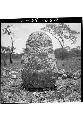 Figure of seated man in savanna N. of Roof Comb Bldg., front (6x6)