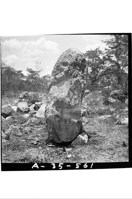 Figure of seated man in savanna N. of Roof Comb Bldg., profile (6x6)