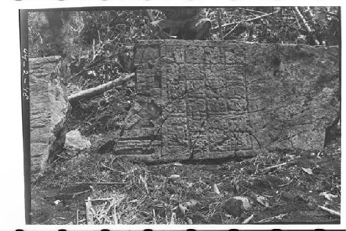 Front bottom half of Stela 10