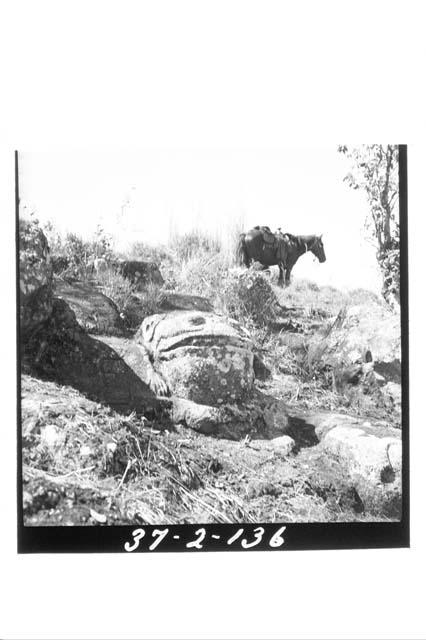 Shrine of the Toad, South side of Valley, S.SE. of the Main Structure