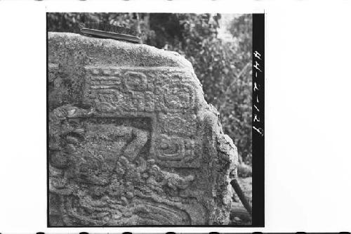Front detail of glyph panel on Stela 7
