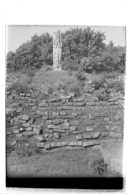 Stairs in front of stela E before tunnel was dug, Great Plaza; West side terrace