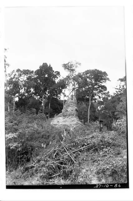 South end of Structure E-X showing roof comb