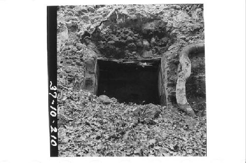 Doorway into one of the rooms on the east side of the court, Structure 1.