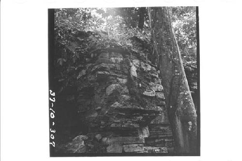 Stucco decorations above medial moulding on the south side of Structure 74