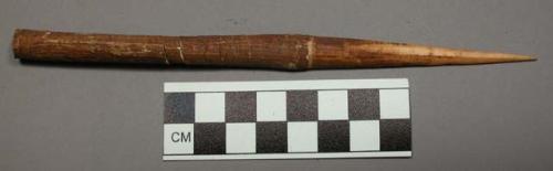 Spear point, sharp bone encased in bark tube, uncoiling