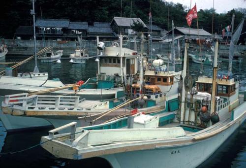 Fishing Village, Muroto-Anan-Kaigan