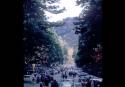 Nikku, entrance road for Toshogu shrine