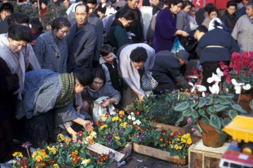 Tokyo, winter garden sale