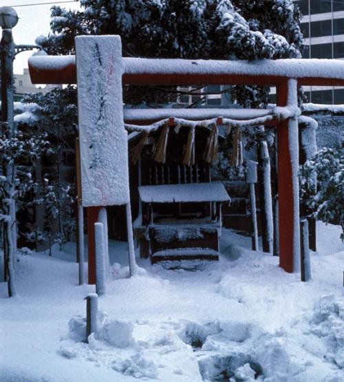 Tokyo, shrine near Tormamon