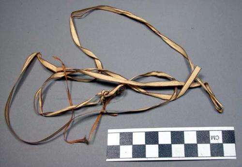 Reed strips, ribbon-like, dark brown edges, buff center