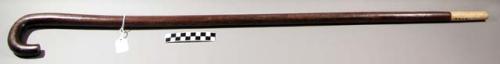 Native made walking stick of wood with curved grip and tusk tip