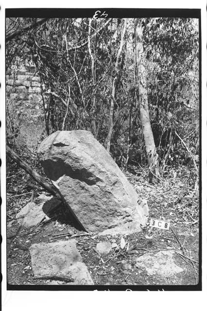 3C8-Large stone on paved way leading from 3C8 to House of Deer