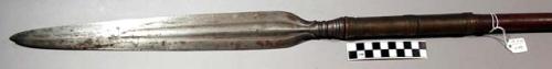 Assegai (spear) - wood and iron; point 16 3/4", shaft 71"