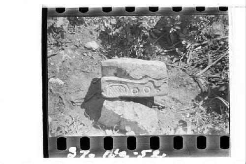 Side of stela found in debris back of structure 32